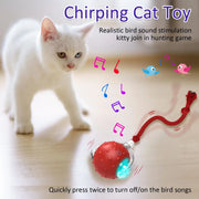 Cat Rolling Ball w/ Bird Chirping Interactive